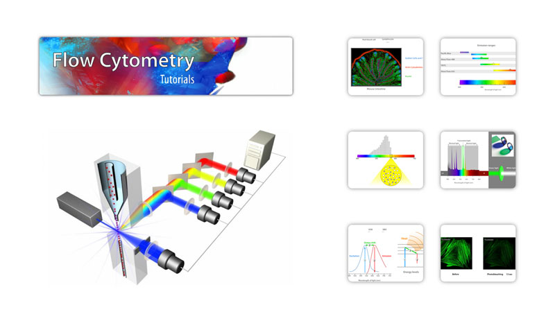 Flow Cytometry Tutorials